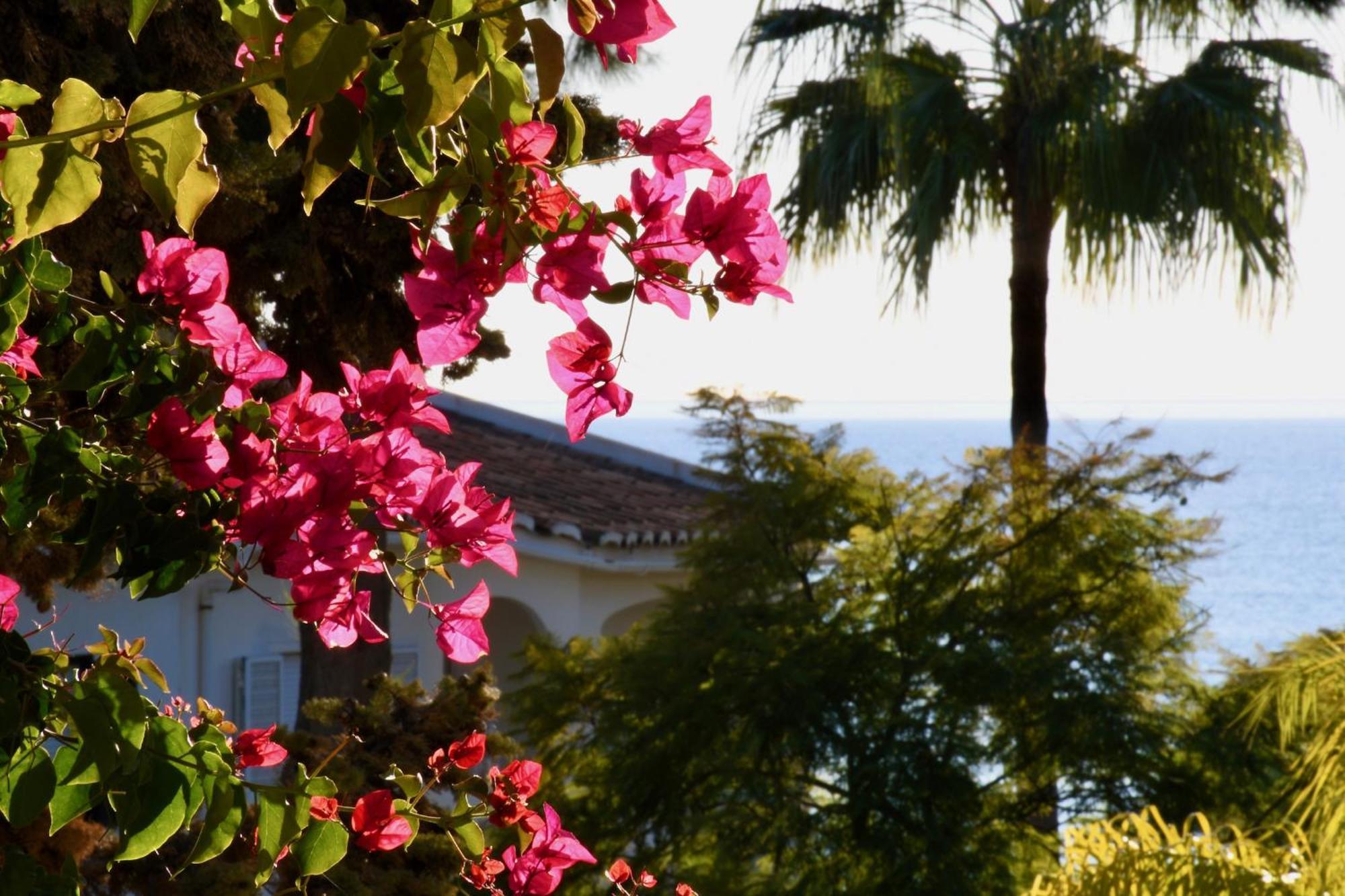 Aquamarine - Gemstone Getaway Apartment Vale do Lobo Exterior photo